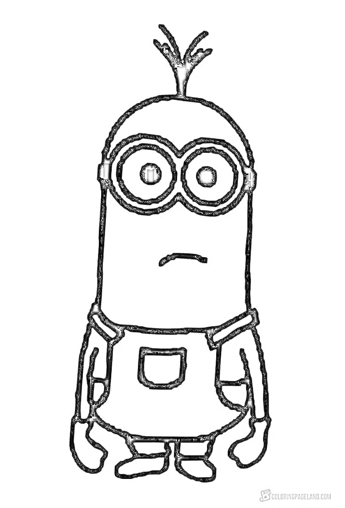 На раскраске изображено: Очки