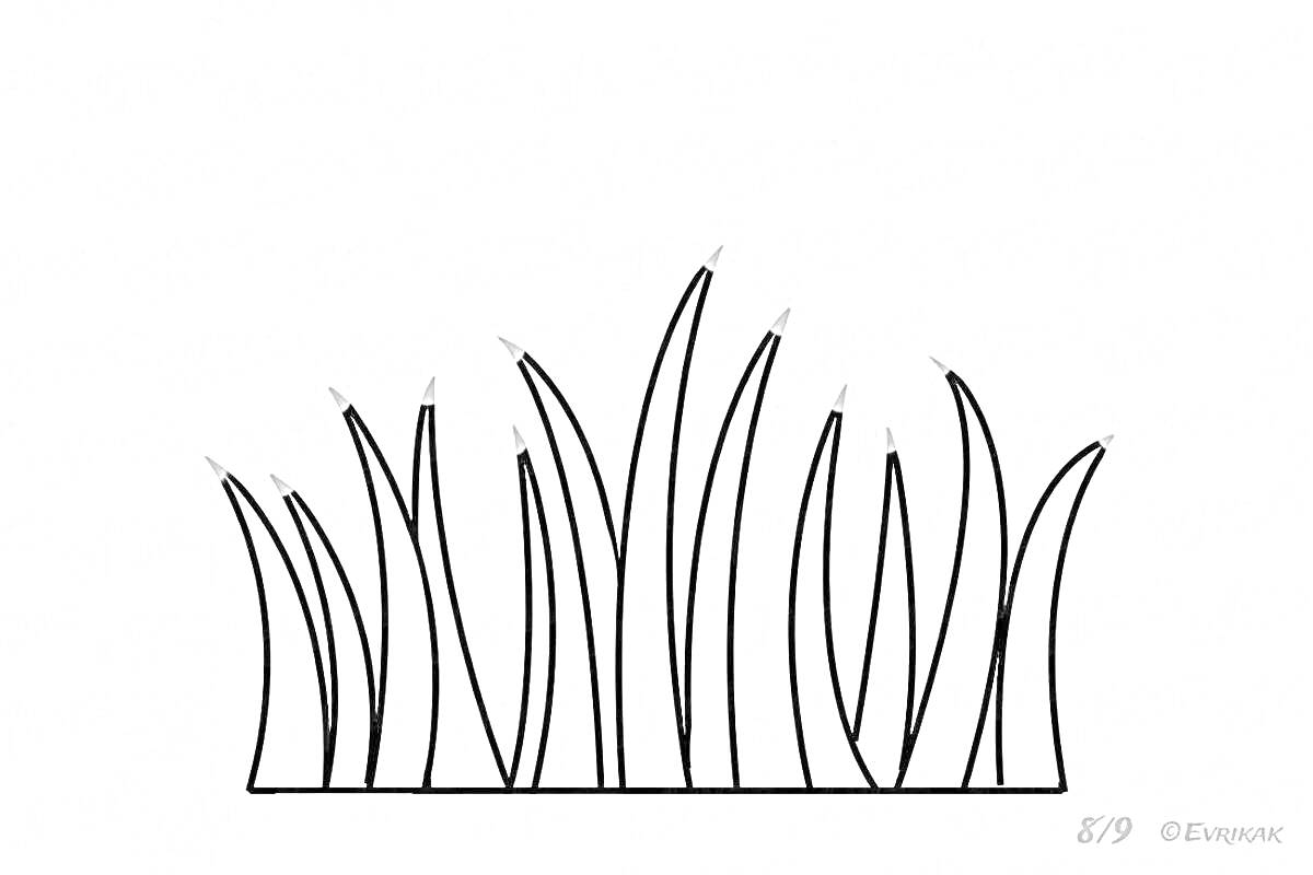 Раскраска Трава с высокими и низкими стеблями.