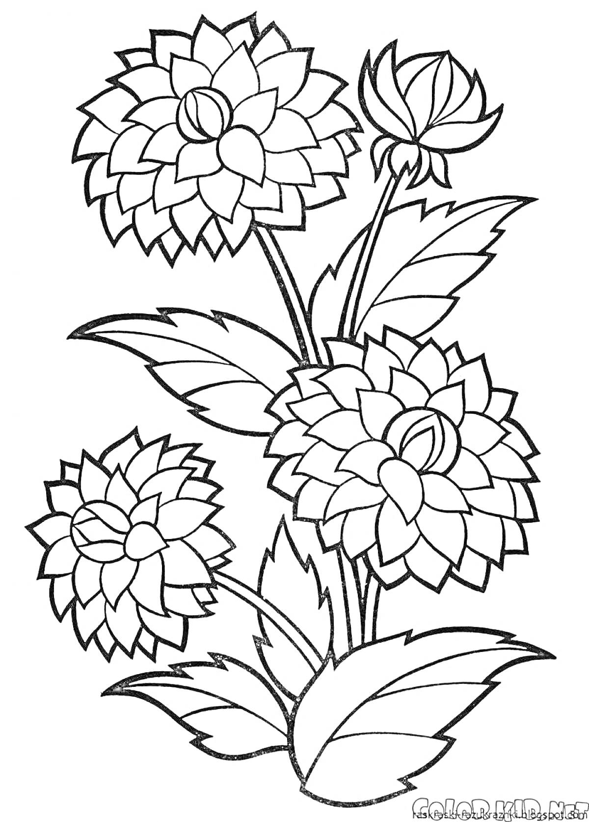 На раскраске изображено: Цветы, Листья, Бутон, Для детей, Растения