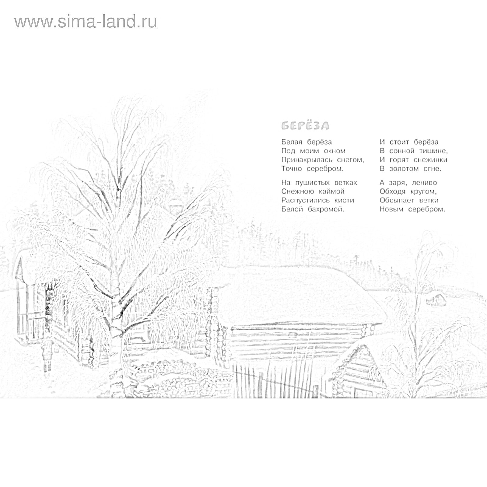 Раскраска Зимний пейзаж с березой и домами под снегом