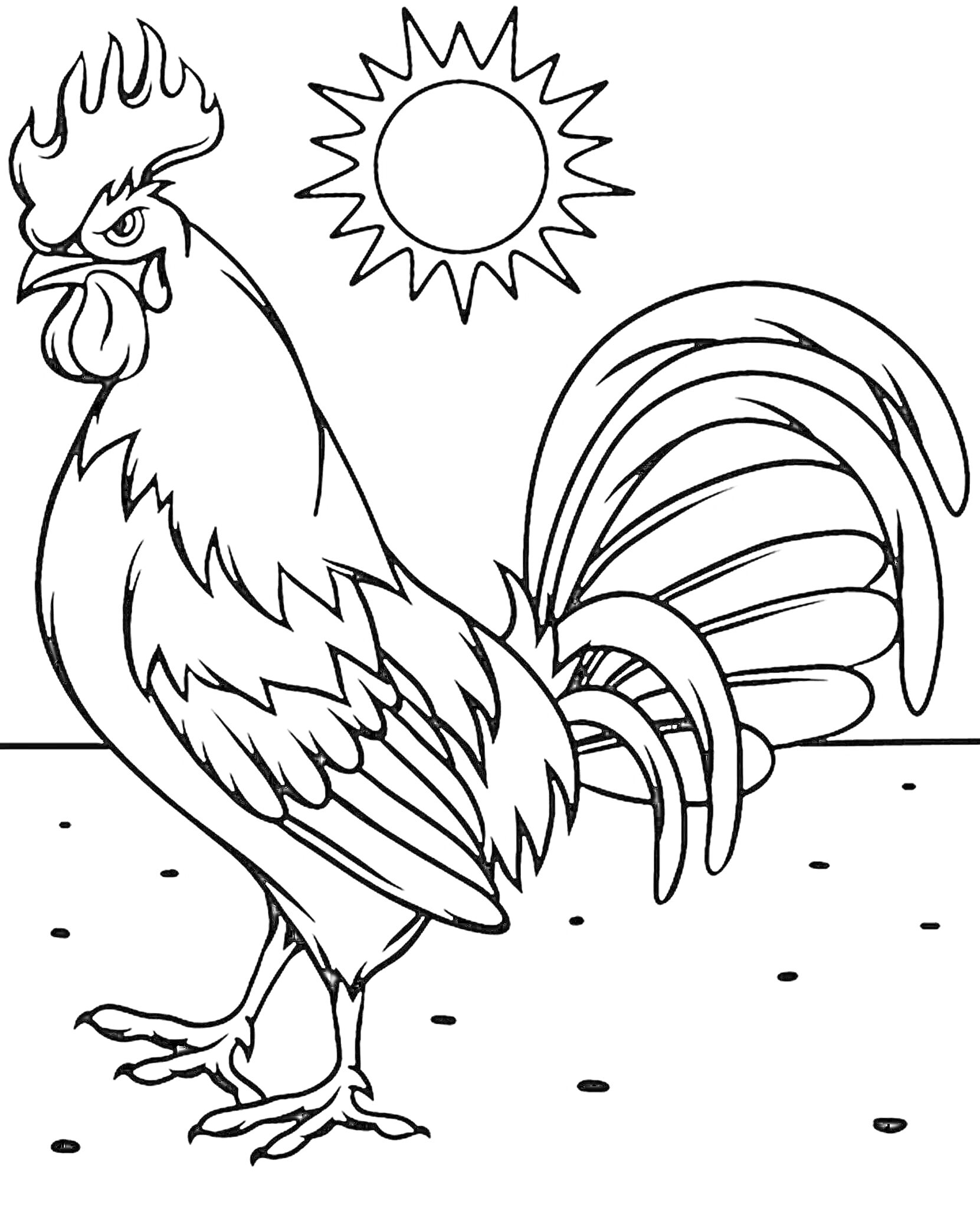 На раскраске изображено: Петух, Птица, Солнце, Хвост, Земля, Для детей, 6 лет, 7 лет