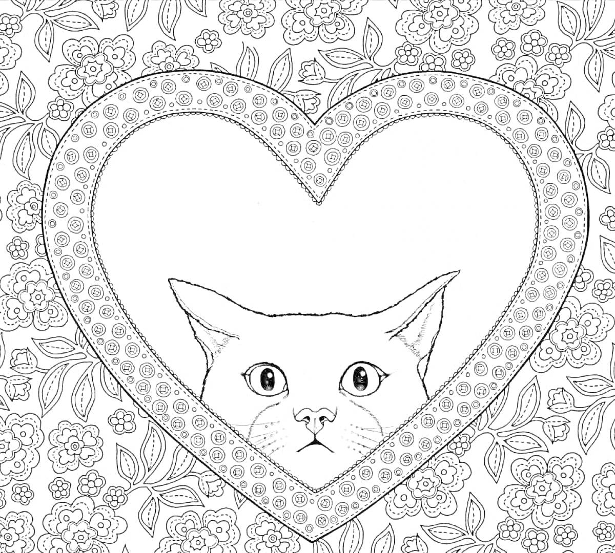 Раскраска Котик в сердце на фоне цветочного узора
