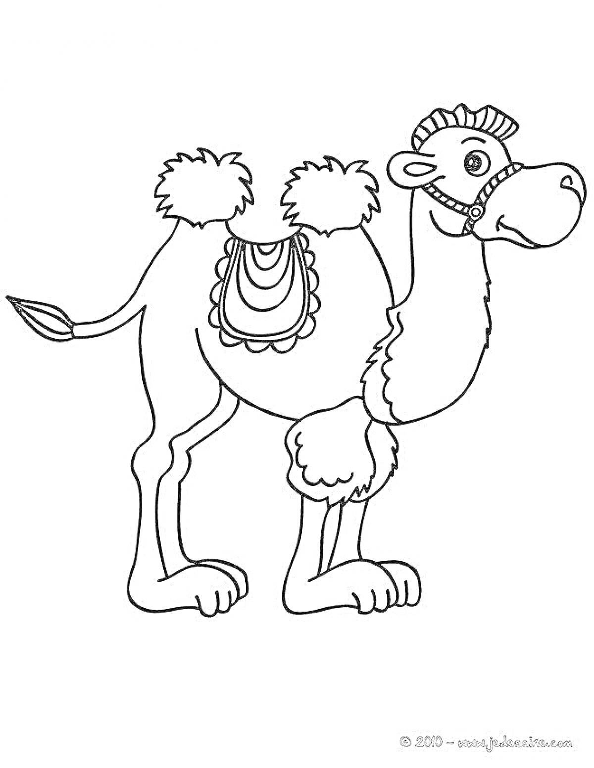 Раскраска Верблюд с седлом и уздечкой
