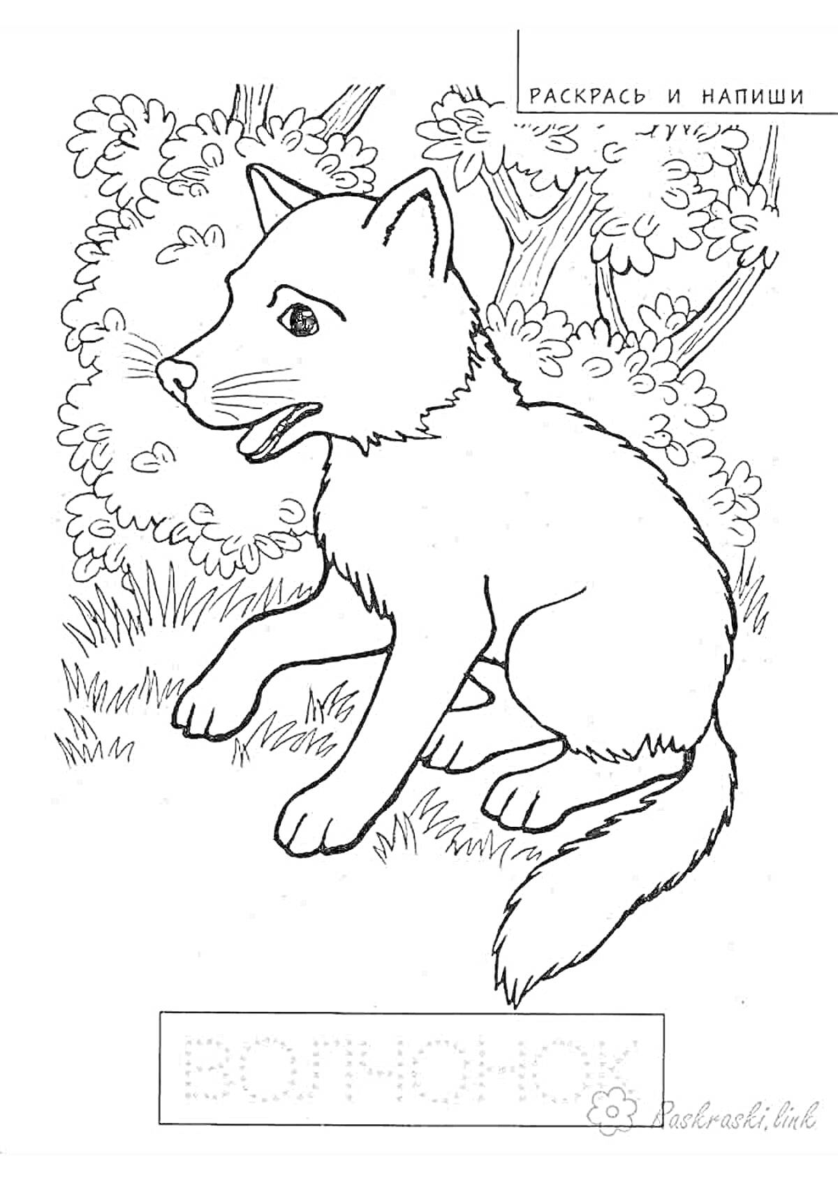 На раскраске изображено: Волчонок, Лес, Кусты, Трава, Природа