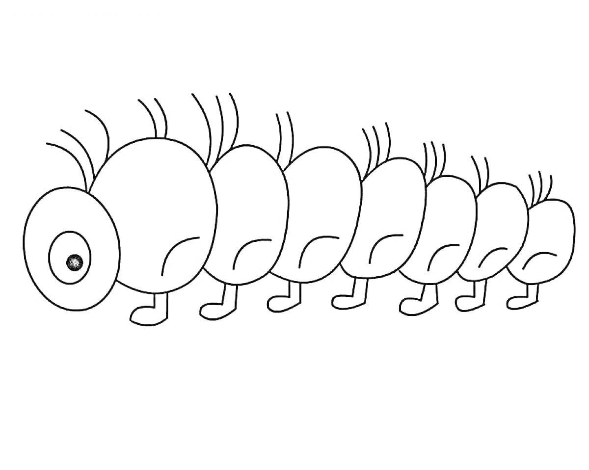 Раскраска Гусеница с шестью сегментами, глазом и ножками