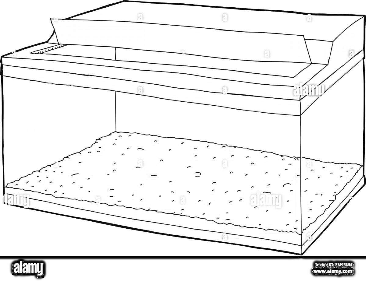 Раскраска Пустой террариум с крышкой и песчаным дном