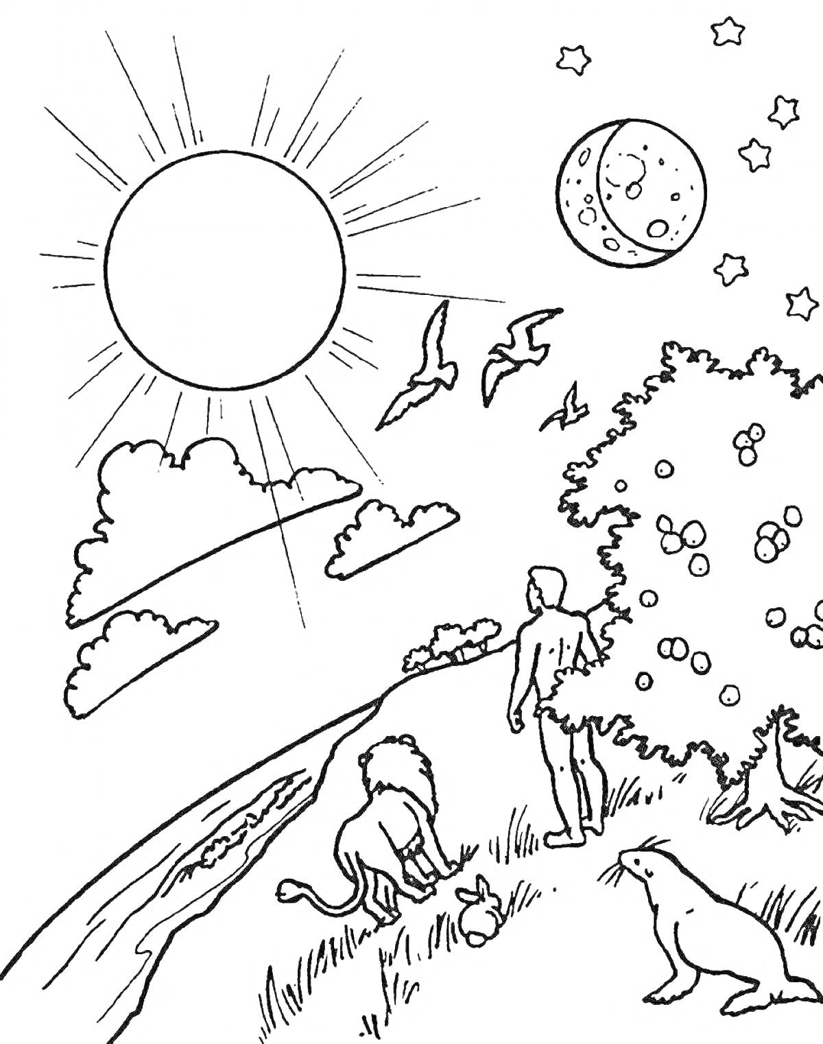 Раскраска Сотворение мира: человек, лев, заяц, птицы, луна, звезды, солнце, дерево с плодами, рекa и небо с облаками