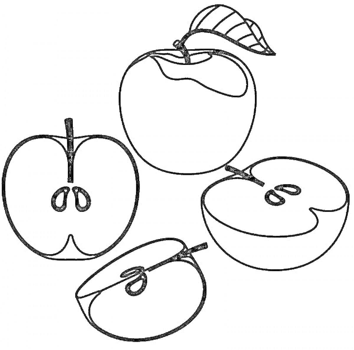 На раскраске изображено: Яблоко, Фрукты, Семечки, Для детей, Листья, Контурные рисунки