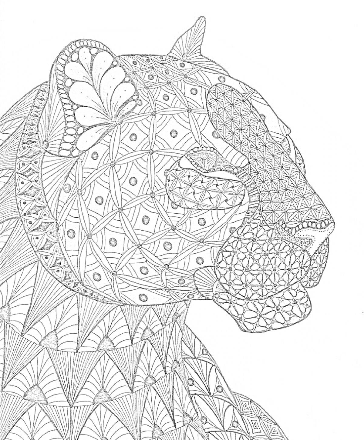 Раскраска Антистресс-раскраска леопарда с узорами