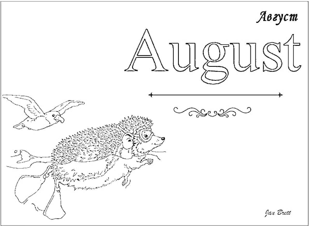 Раскраска Август с ежом-рыбой и птицами