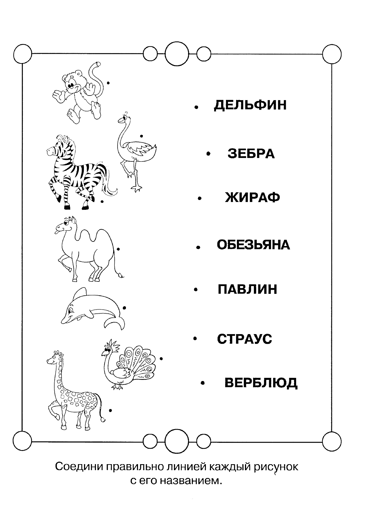 На раскраске изображено: Логические задачи, Соединение, Животные, Павлин, Страус, Верблюд