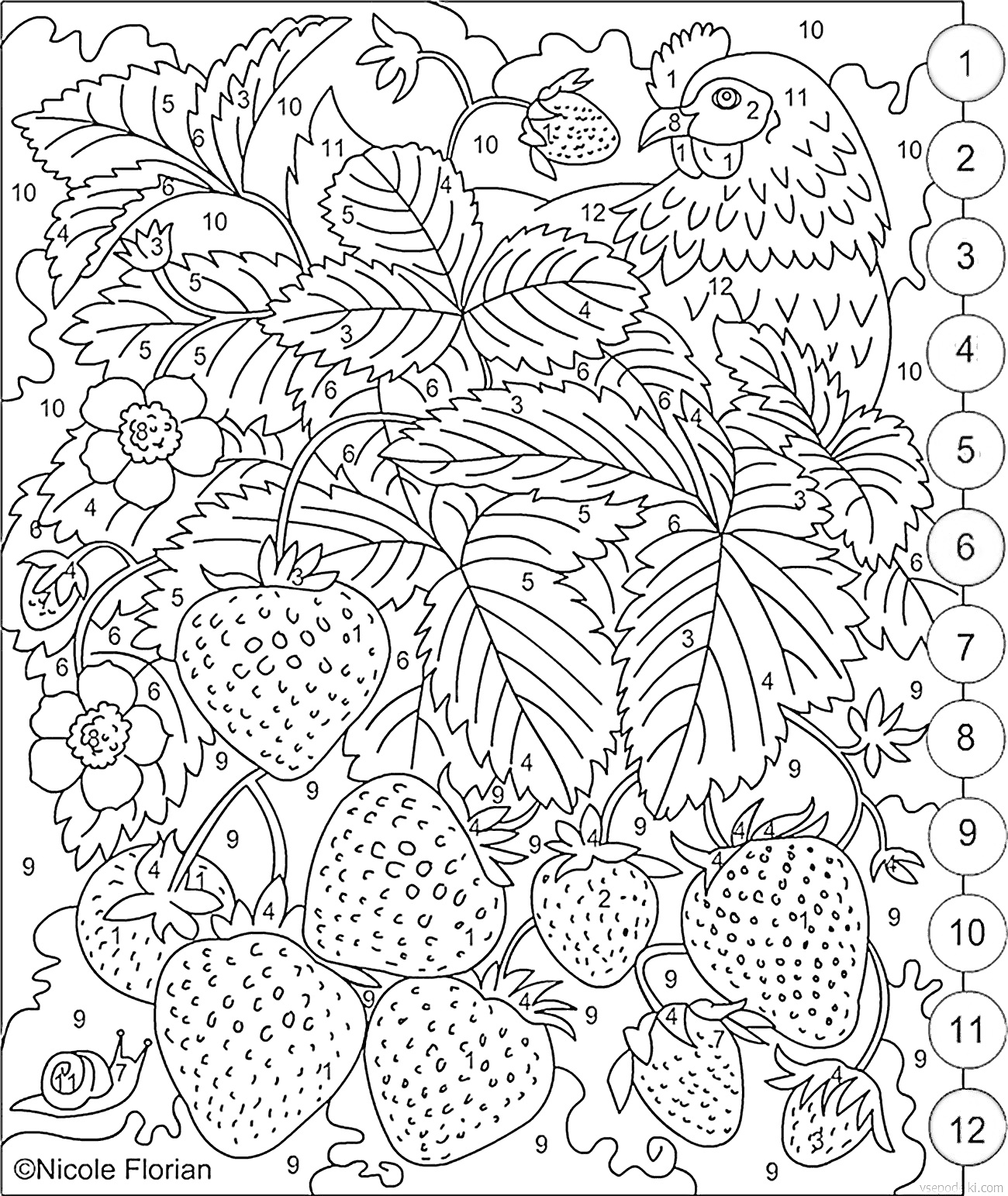 Раскраска Клубника, листья, попугай и цветы по номерам