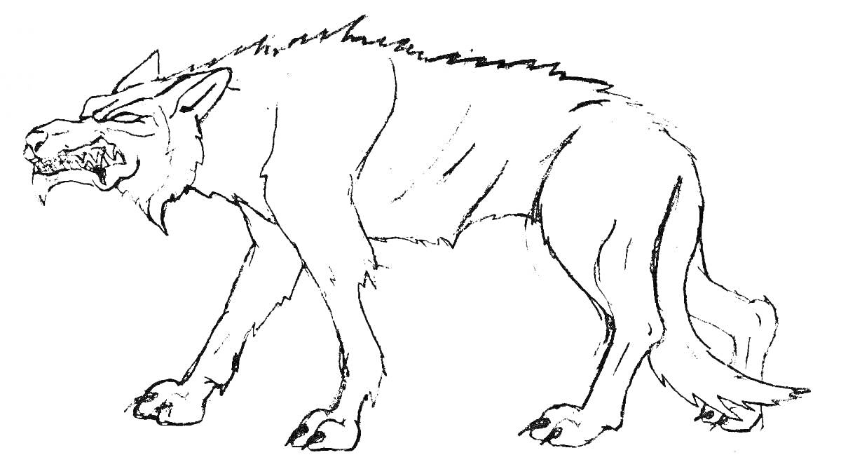 Злой волк, стоящий на четырех лапах, оскаливший зубы