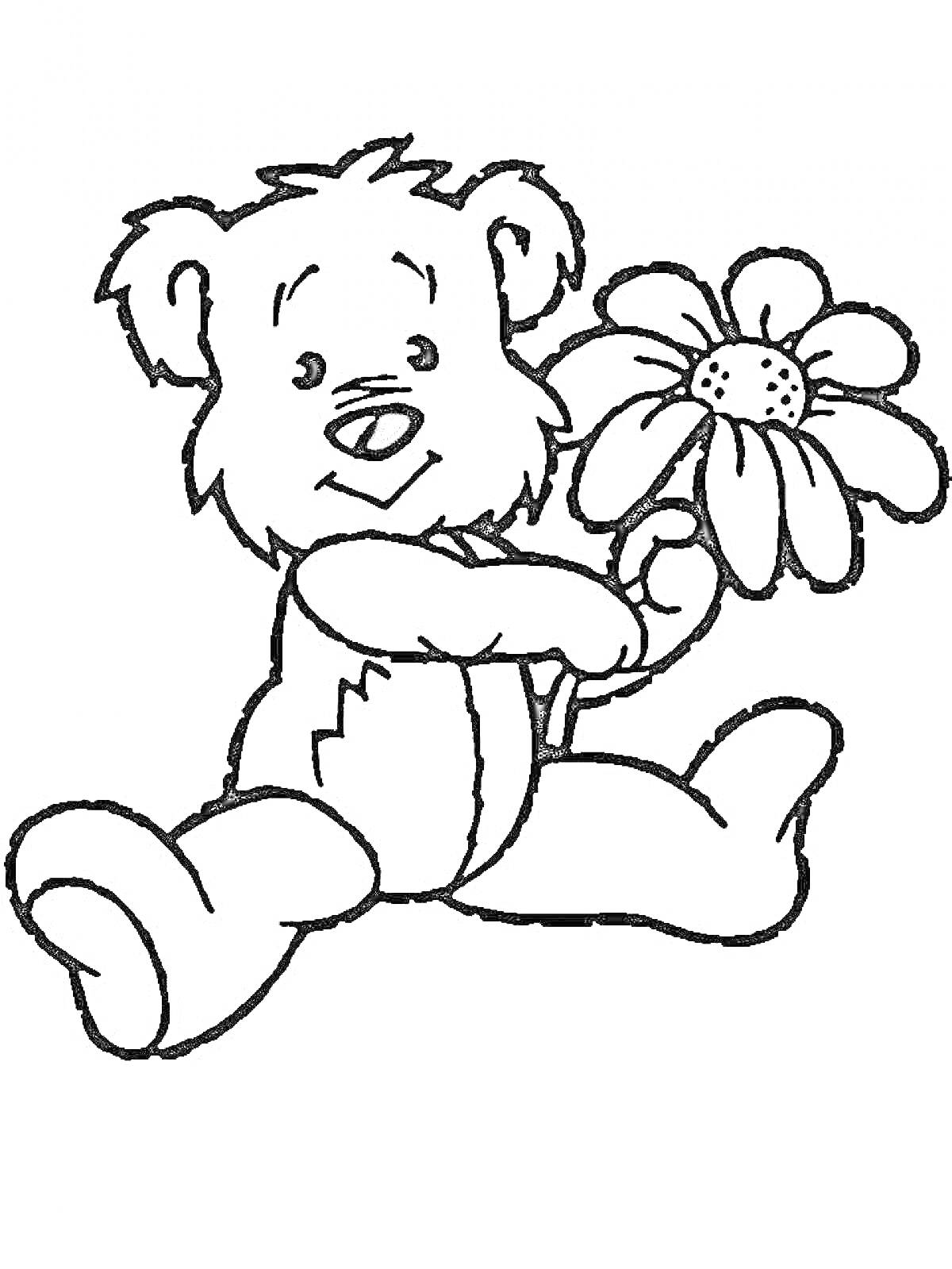 Раскраска Медвежонок с цветком