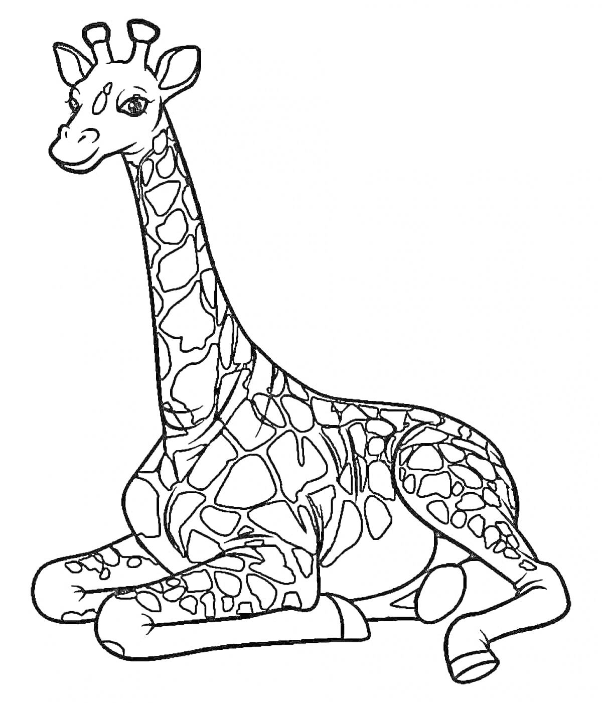 Раскраска Раскраска с лежащим жирафом
