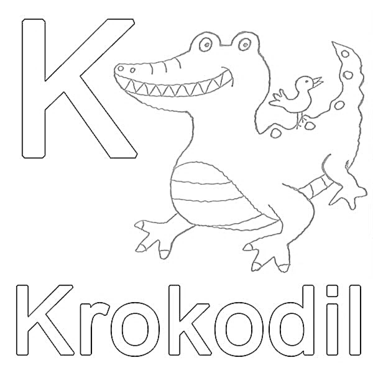 Раскраска Буква K с крокодилом и птицей (K is for Krokodil)