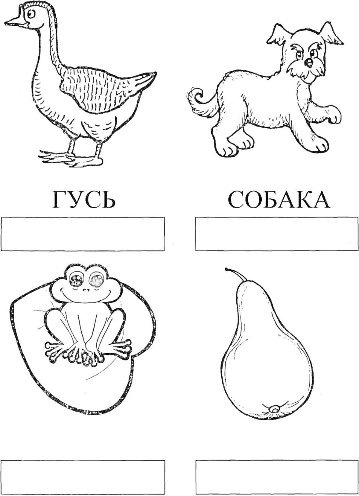 Раскраска раскраска с изображениями гуса, собаки, лягушки и груши