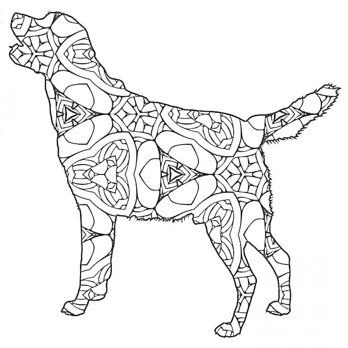 Раскраска Собака с геометрическими узорами