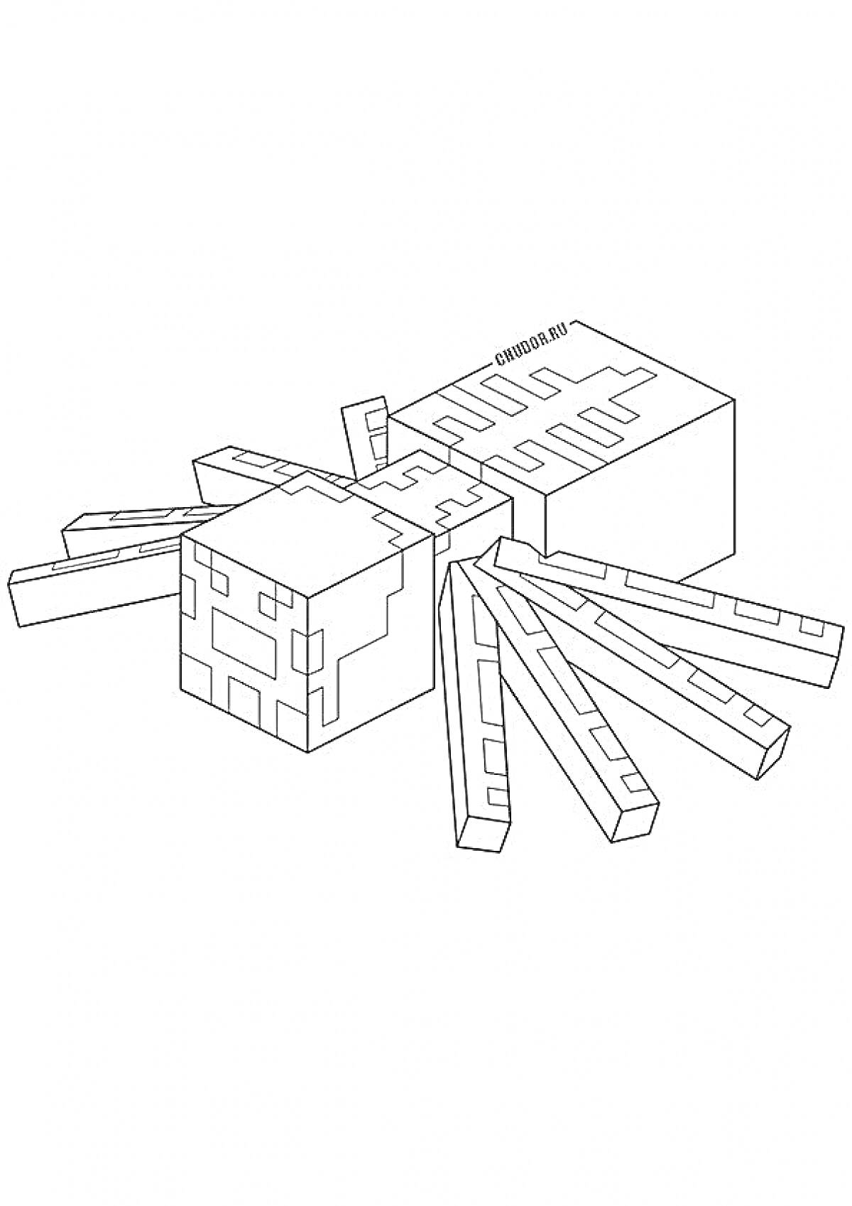 Раскраска майнкрафт паук, кубический паук с длинными ногами.