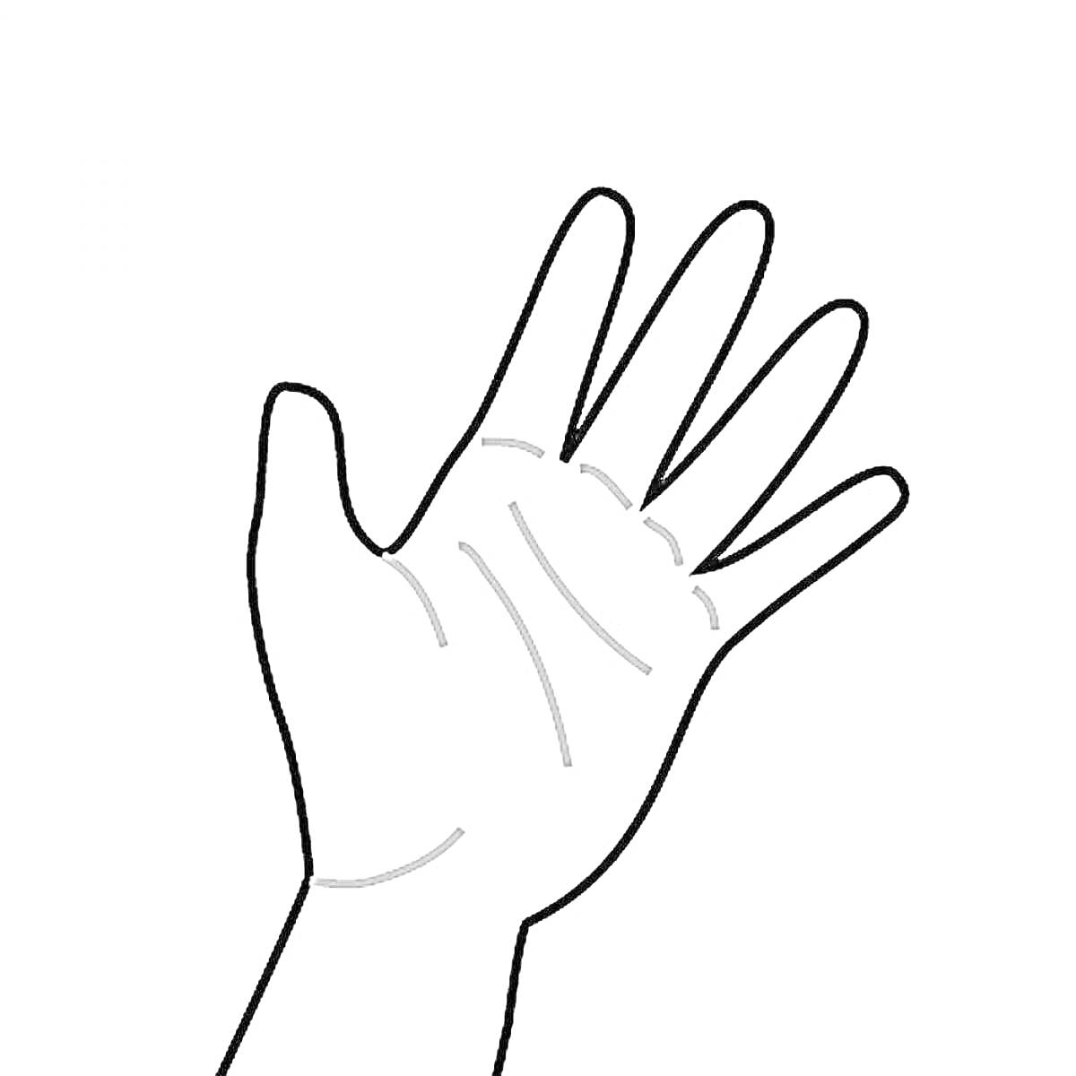 Раскраска Раскраска руки с разогнутыми пальцами