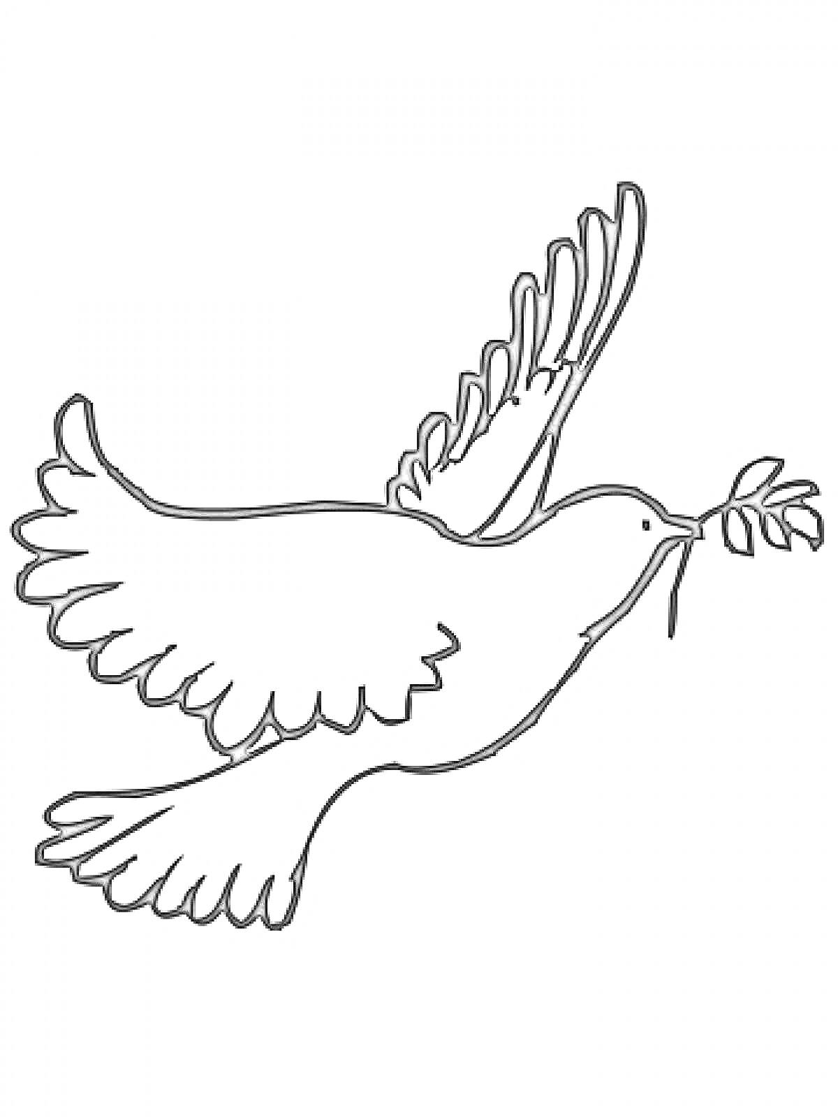 На раскраске изображено: Мир, Птица, Полет, Ветка, Голуби, Символы