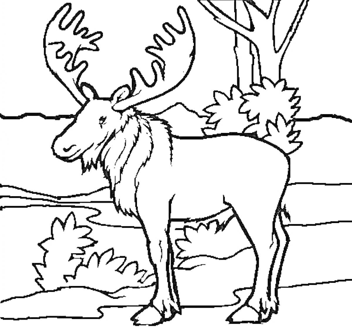 На раскраске изображено: Лось, Дикие животные, Лес, Деревья, Природа, Для детей, Кусты