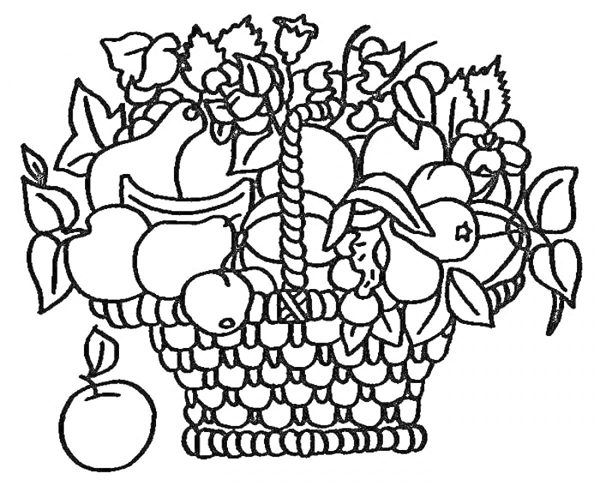 Раскраска Корзина с фруктами и яблоко