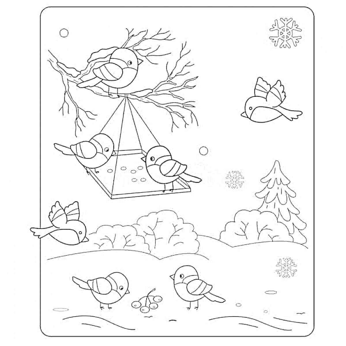 Раскраска Кормушка с птицами зимой, ветка с кормушкой, пять птиц на кормушке, три птицы на земле, две летающие птицы, кусты, снежинки, дерево