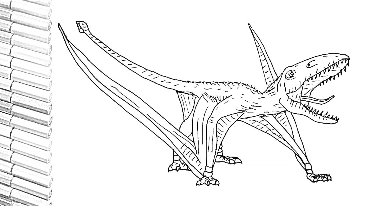 На раскраске изображено: Птерозавр, Динозавр, Крылья, Пасть, Карандаши