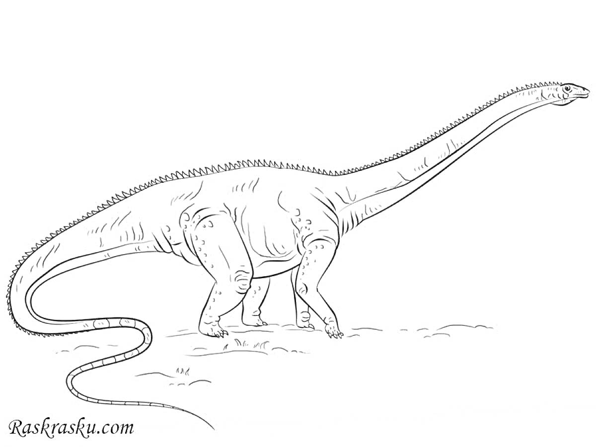 На раскраске изображено: Динозавр, Диплодок, Длинная шея, Длинный хвост, Праисторическое животное