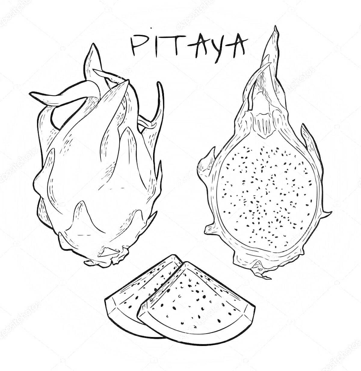 На раскраске изображено: Питахайя, Экзотический фрукт, Разрезанный фрукт