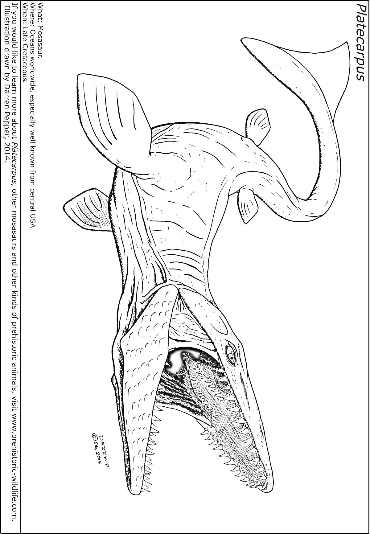Раскраска Платекарпус, плывущий в воде, пасть широко открыта, виден ряд острых зубов