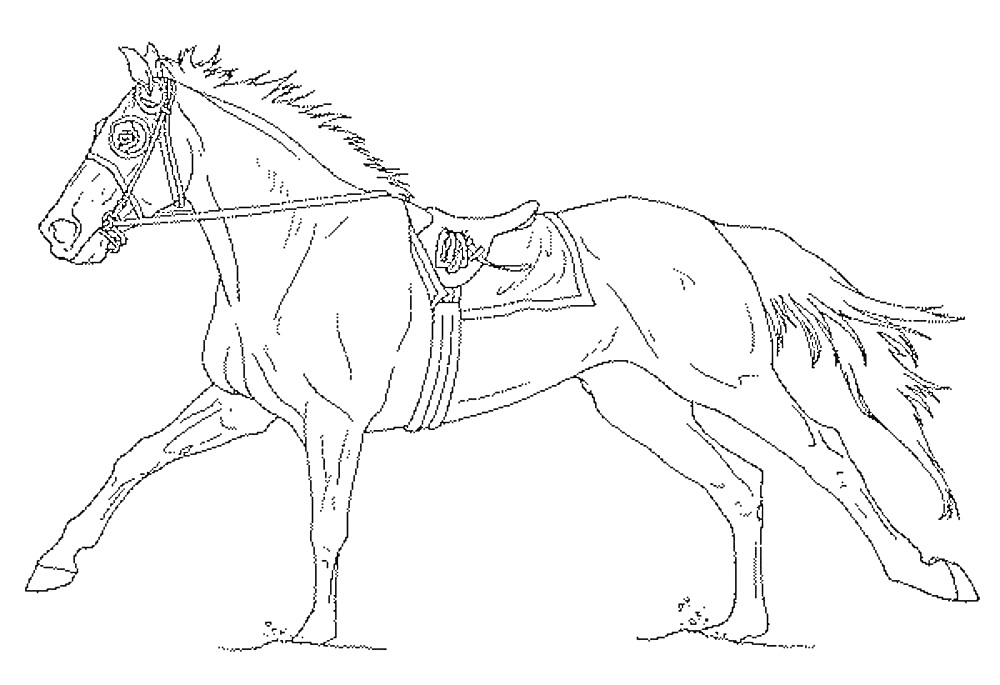 Раскраска Лошадь в сбруе с уздечкой и седлом, в движении