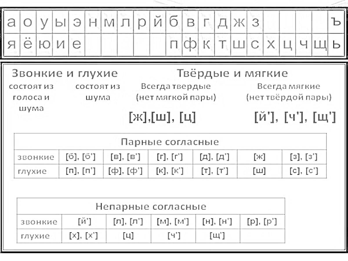 Раскраска Таблица фонетического разбора с гласными буквами, звонкими и глухими согласными, твердыми и мягкими согласными, парными и непарными согласными