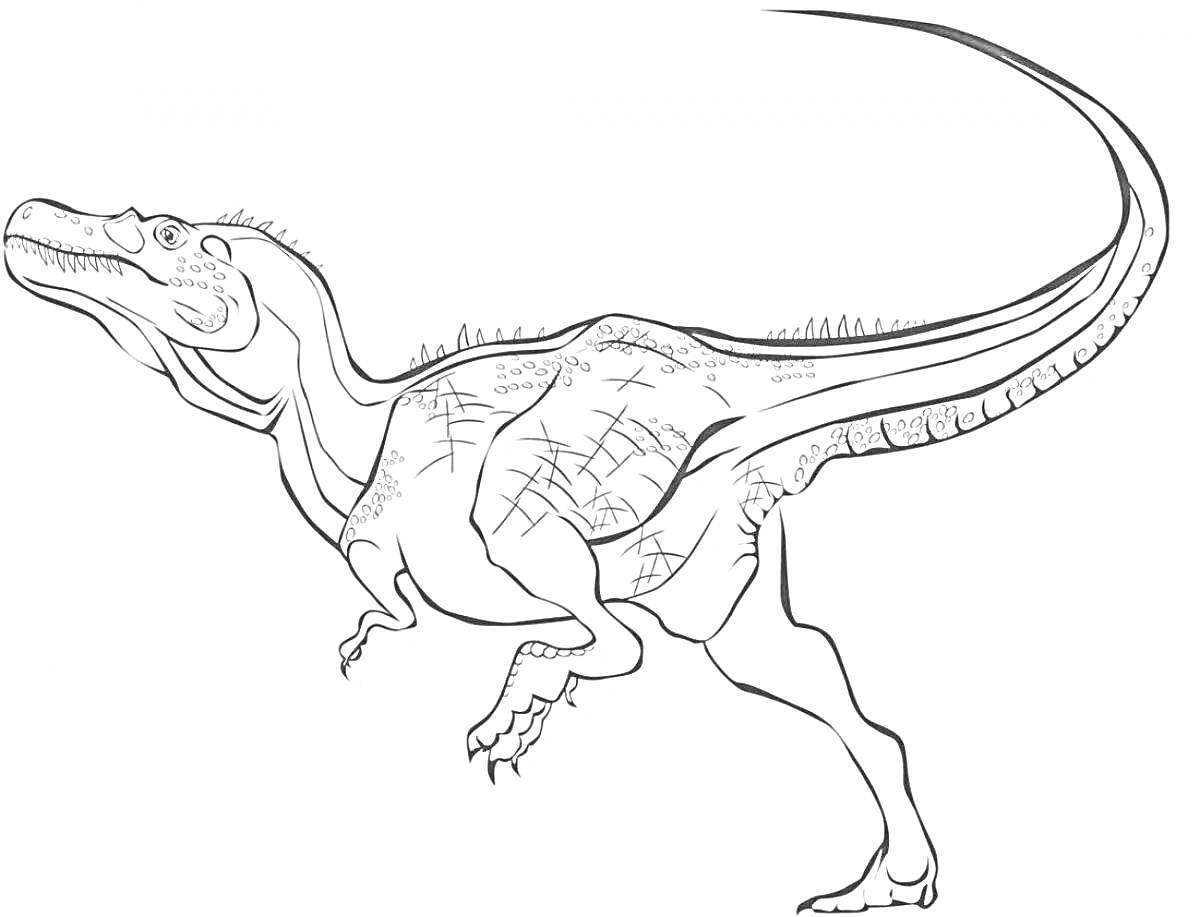Раскраска Бегущий динозавр с длинным хвостом и шипами на спине
