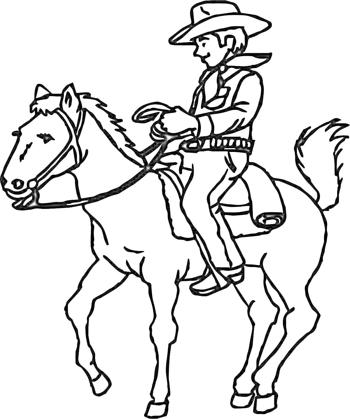 На раскраске изображено: Лошадь, Вестерн, Ковбойская шляпа, Седло, Уздечка, Верховая езда, Пустыня, Дикий Запад