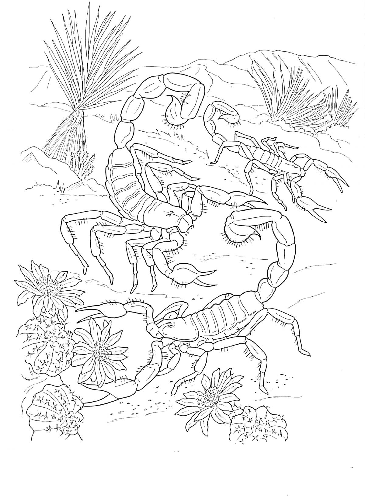 Раскраска Два скорпиона среди пустынных растений, включая кактусы и цветы, на фоне гор и кустарников.