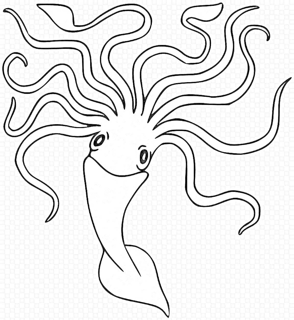 Раскраска Улыбающийся кальмар с длинными щупальцами