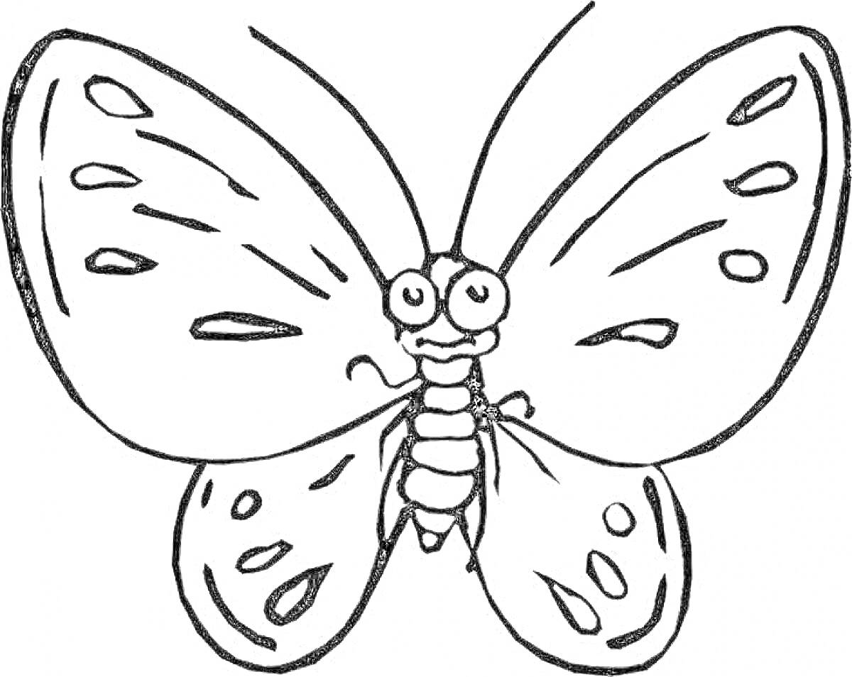 На раскраске изображено: Бабочка, Крылья, Насекомое, Усы