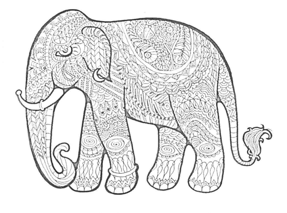Раскраска Слон с узорами, включающими геометрические фигуры, спирали и листовидные элементы