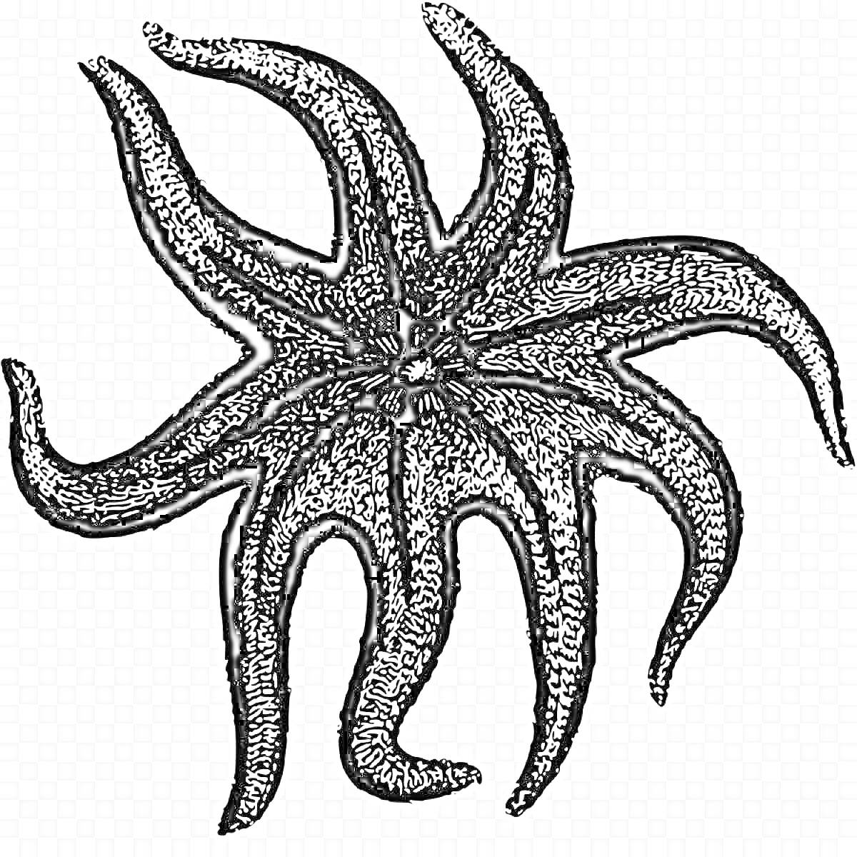 На раскраске изображено: Щупальца, Подводный мир, Морские звезды