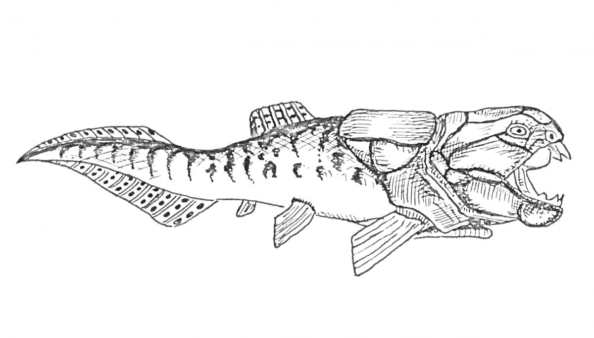 Дунклеостей с открытой пастью с рисунком на теле и плавниками