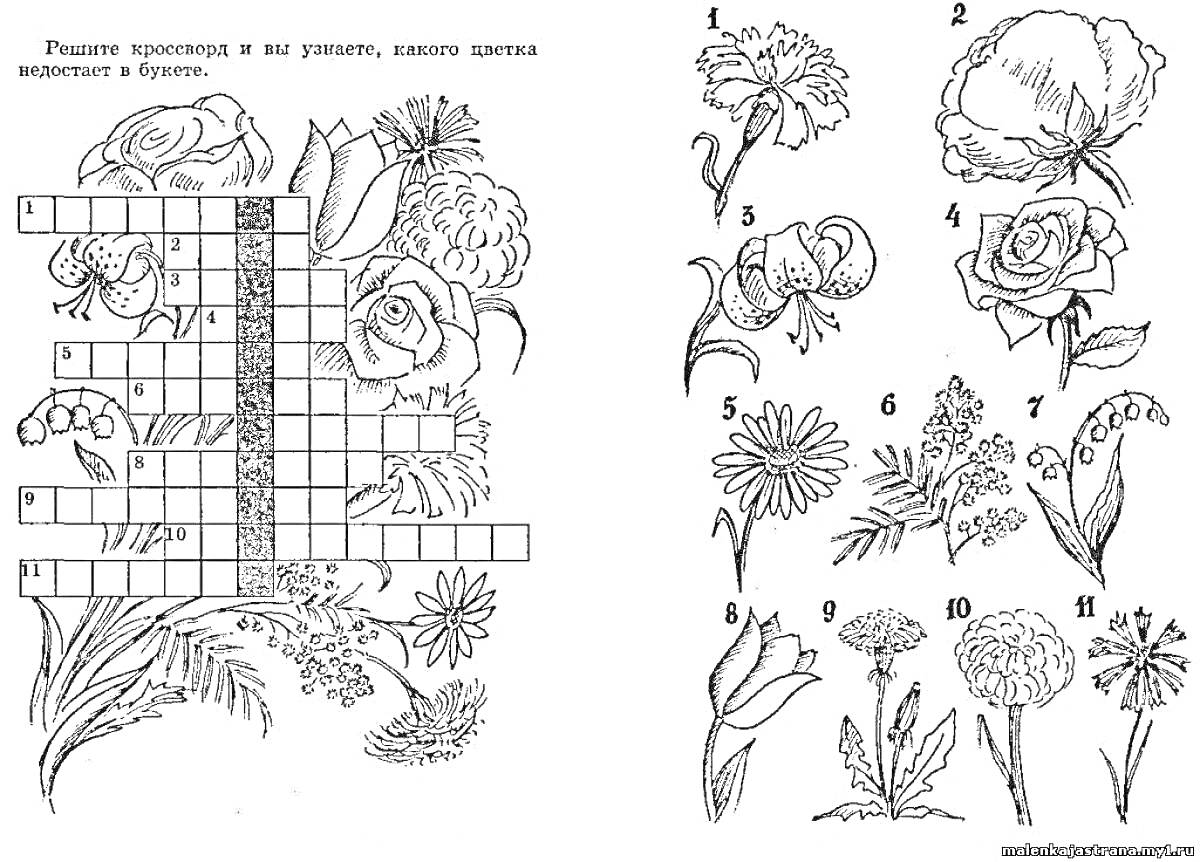 Раскраска Кроссворд-раскраска с дикорастущими и культурными растениями