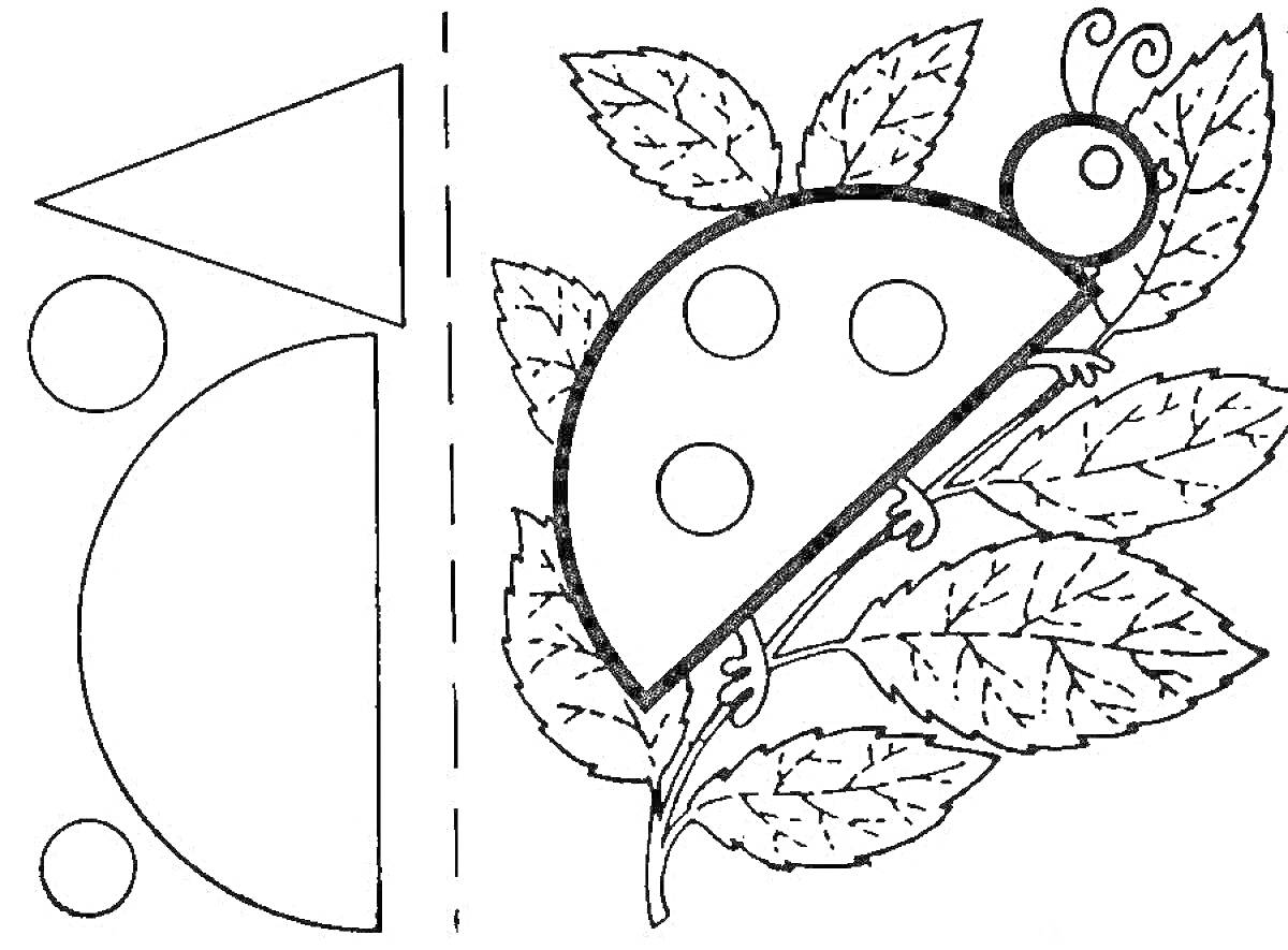 Раскраска Божья коровка на ветке с листьями, элементы аппликации - круги, полукруг, треугольник