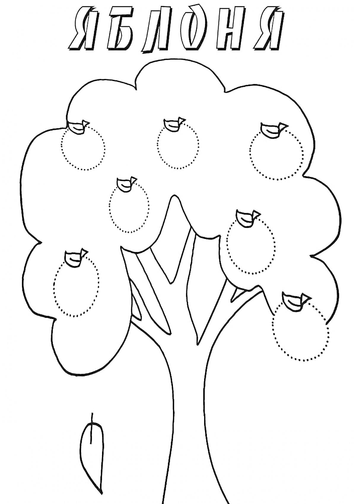 Раскраска Яблоня с яблоками и птицами на ветках, один упавший лист