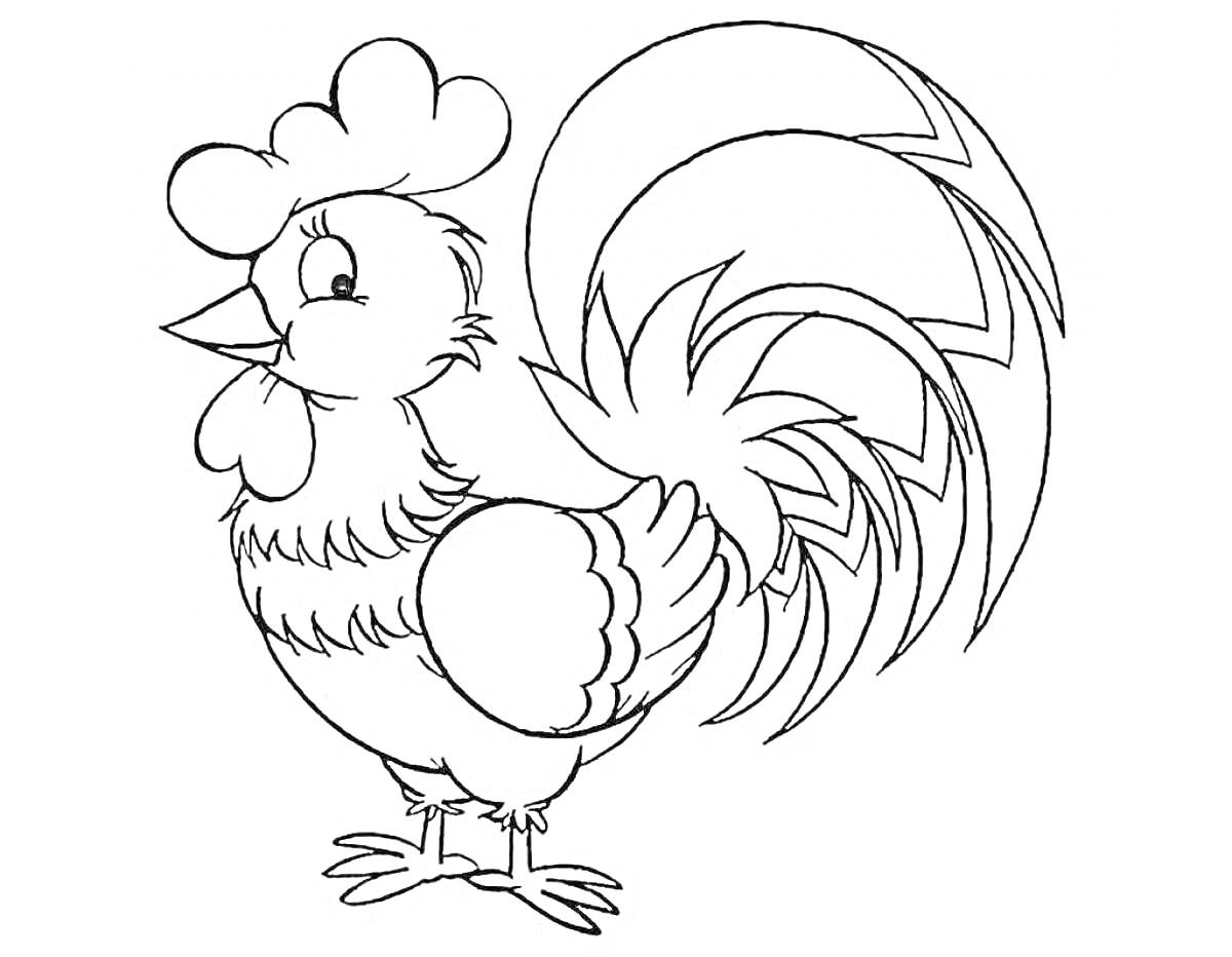 Раскраска Раскраска с изображением петуха с крупным гребнем и длинным хвостом из нескольких перьев