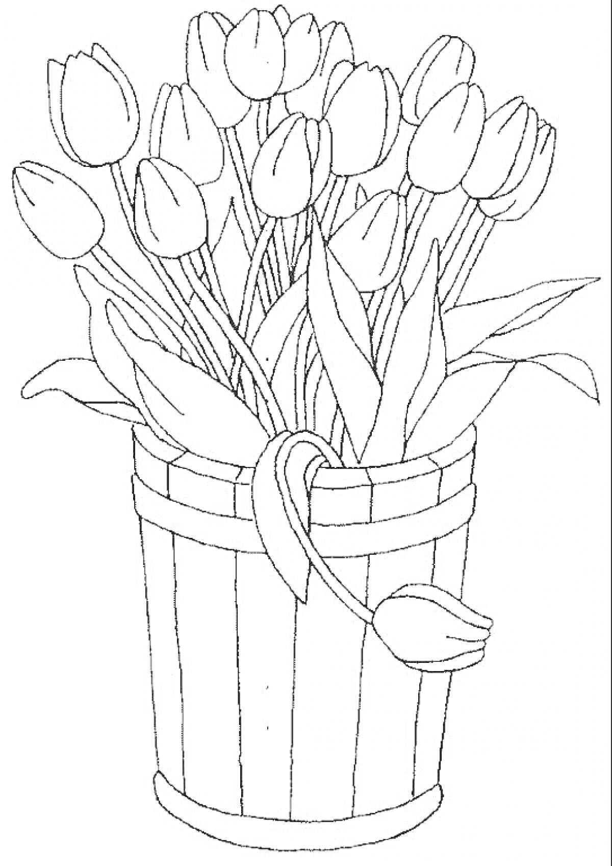 Раскраска Тюльпаны в ведре