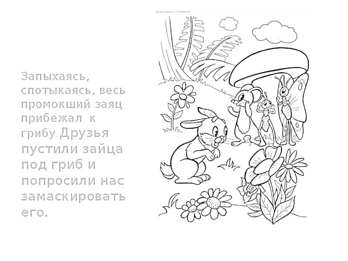 На раскраске изображено: Сутеев, Заяц, Лесные животные, Цветы, Трава, Облака, Природа, Друзья, Лес