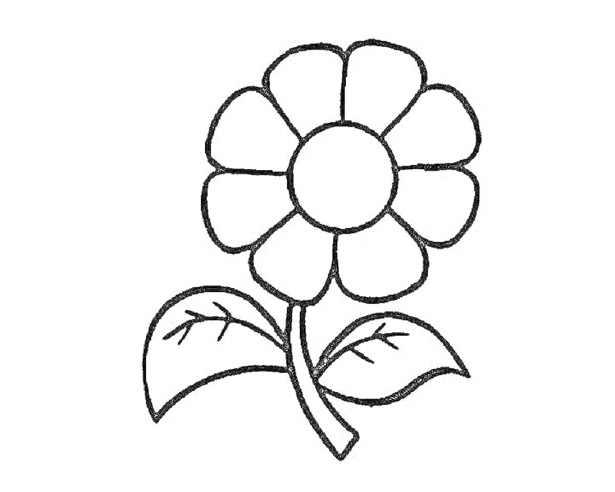 На раскраске изображено: Цветик семицветик, Лепестки, Листья, Для детей
