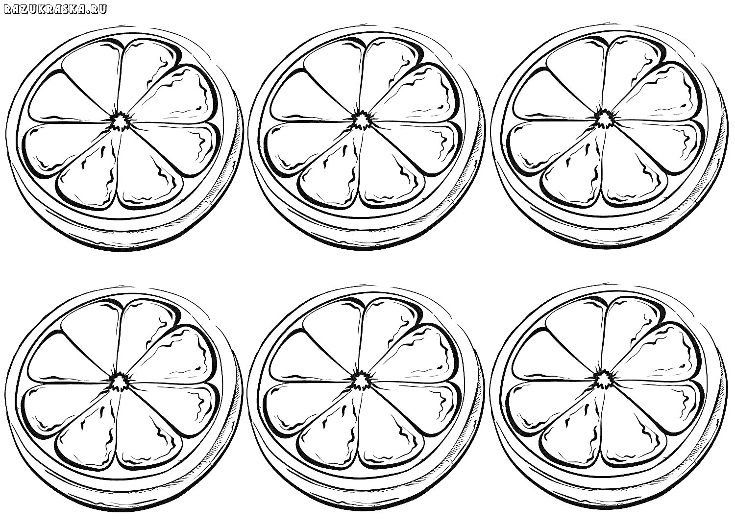 Раскраска Дольки апельсина - шесть нарисованных кружков апельсина
